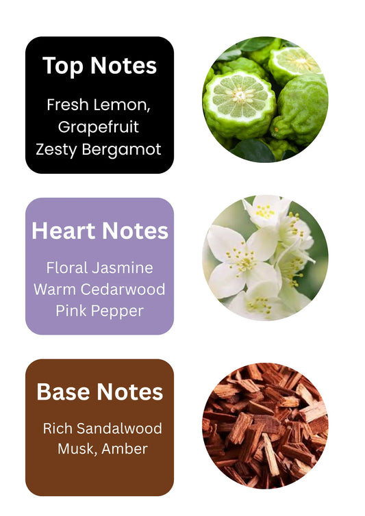 UNITY - Inspired by Maison Nicolas